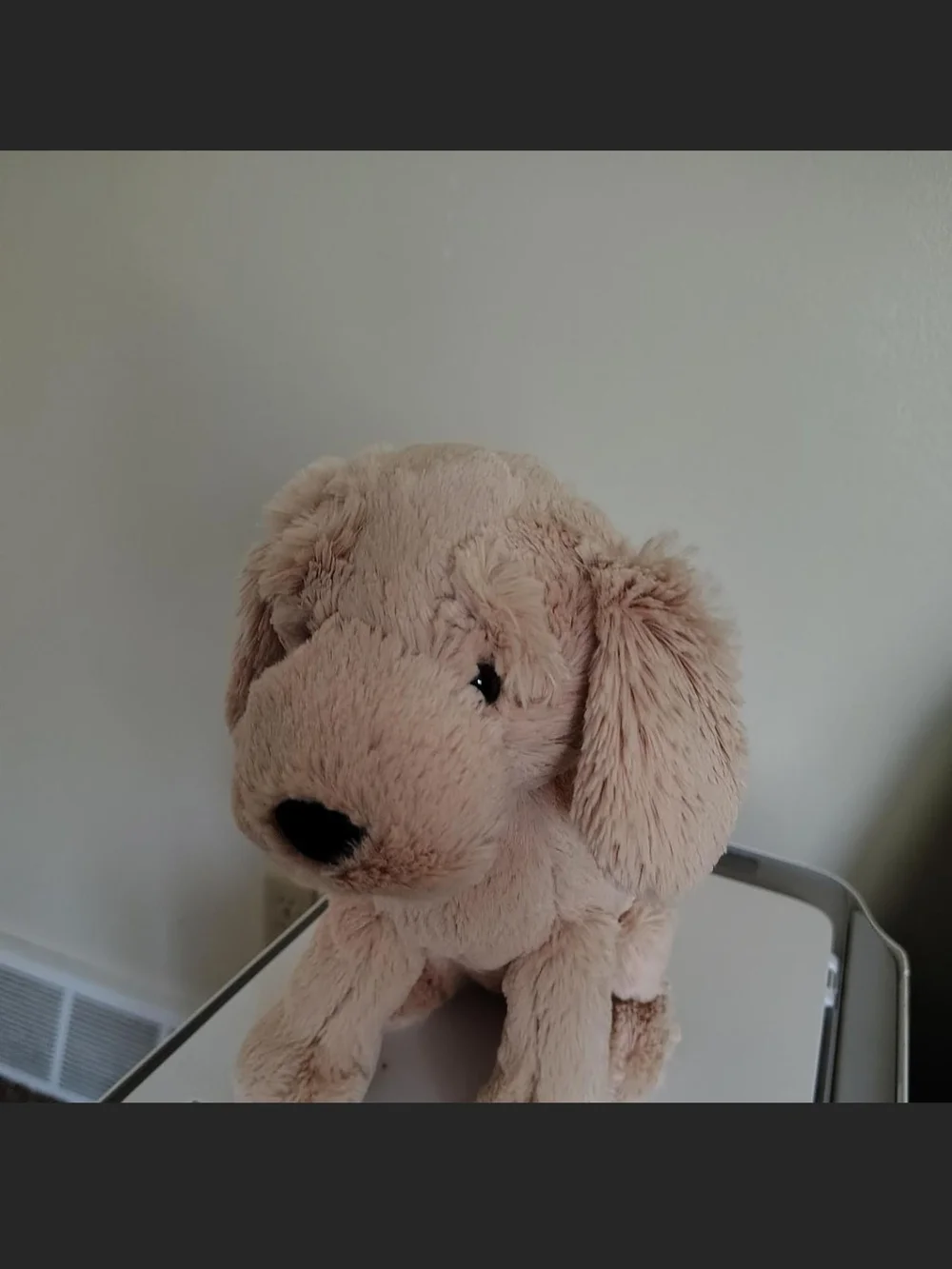 Jellycat Soft Beige Puppy Plush Dog Toy